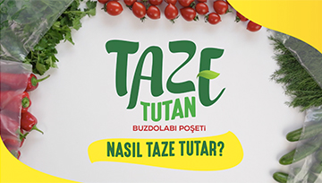 KOROPLAST TAZE TUTAN NASIL KULLANILIR